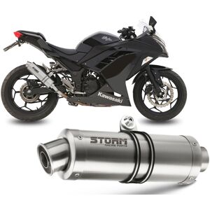 Exhaust Storm By Mivv Muffler Gp Steel For Kawasaki Ninja 300 2013 > 2016 Exhaust Storm By Mivv Muffler Gp Steel For Kawasaki Ninja 300 2013 > 2016
