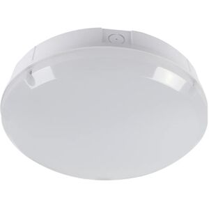 Leyton Lighting Bulkhead Light White Talpa Led Ip65 8-16w Cct Tp3x5-Ct Leyton Lighting Bulkhead Light White Talpa Led Ip65 8-16w Cct Tp3x5-Ct