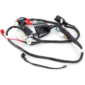 Cmpo Wiring Loom Drl For Lj50qt-3l Scooter Black Male/female Wrlm131 Durable Copper Cmpo Wiring Loom Drl For Lj50qt-3l Scooter Black Male/female Wrlm131 Durable Copper