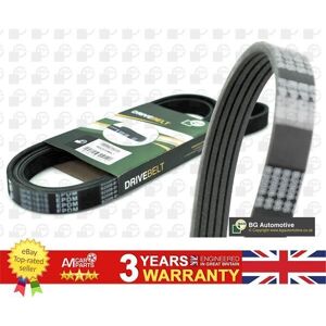Bga V Ribbed Belt For Citroen Ax Saxo Xm Ford Sierra Peugeot 106 605 5750.K3 Bga V Ribbed Belt For Citroen Ax Saxo Xm Ford Sierra Peugeot 106 605 5750.K3