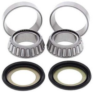 All Balls Sherco Se / Sef - Bearings Column Direction 22-1024 All Balls Sherco Se / Sef - Bearings Column Direction 22-1024