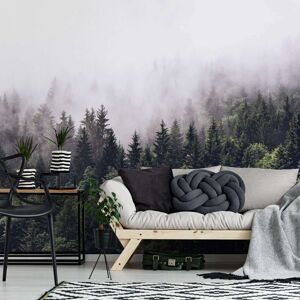 Genius Foggy Forest Wallpaper For Unisex Adult Bedroom 12.6x8.5 Feet Photo Wall Mural Genius Foggy Forest Wallpaper For Unisex Adult Bedroom 12.6x8.5 Feet Photo Wall Mural
