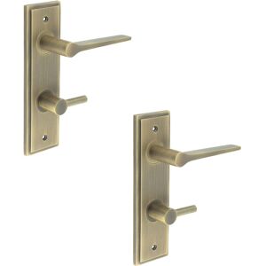 2 Pack Antique Brass Door Handle With Backplate For Bathroom - Elegant Turn & 2 Pack Antique Brass Door Handle With Backplate For Bathroom - Elegant Turn &
