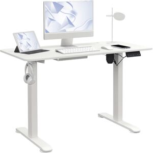 Vinsetto Adjustable Desk, Electric Standing Desk For Home Office, White Vinsetto Adjustable Desk, Electric Standing Desk For Home Office, White