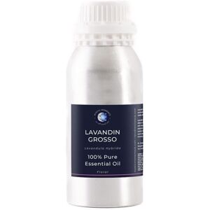 Mystic Moments Lavandin Grosso Essential Oil - 100% Pure - 1kg Mystic Moments Lavandin Grosso Essential Oil - 100% Pure - 1kg