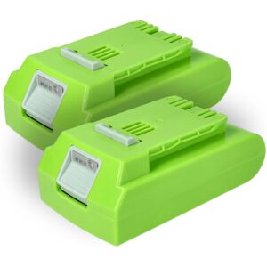 Vhbw 2x Battery For Rössle Bisam 44 Biber 22 2ah 24v Vhbw 2x Battery For Rössle Bisam 44 Biber 22 2ah 24v