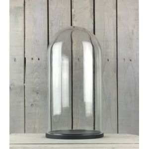 Emh Large Glass Dome Cover Cloche Display With Black Wooden Base Height 41.5 X 21 Cm Emh Large Glass Dome Cover Cloche Display With Black Wooden Base Height 41.5 X 21 Cm