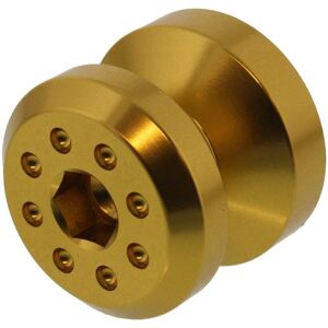 Pro-Bolt Single Stand Screw M8x1.25 Gold For Honda Vtr 1000 Sp1 Rc51 2000-2001 Pro-Bolt Single Stand Screw M8x1.25 Gold For Honda Vtr 1000 Sp1 Rc51 2000-2001