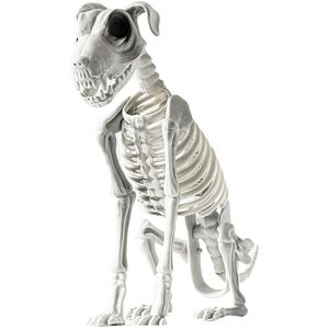 Sodial 3x(Halloween Sitting Dog Skeleton Scary Spooky Sitting Dog Skeleton With 6544 Sodial 3x(Halloween Sitting Dog Skeleton Scary Spooky Sitting Dog Skeleton With 6544