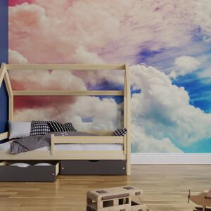 Superfresco Easy Day Dreamer Pink Blue Print To Order Fixed Size Mural Superfresco Easy Day Dreamer Pink Blue Print To Order Fixed Size Mural