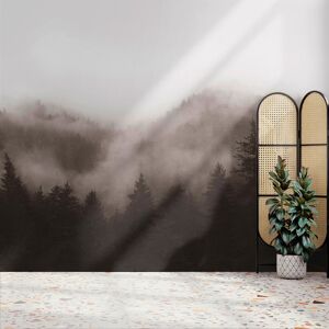 Superfresco Easy Misty Landscape Neutral Print To Order Fixed Size Mural Superfresco Easy Misty Landscape Neutral Print To Order Fixed Size Mural