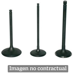 Prox Steel Valve Ø28.00 L 82.00 Ø 5.00 Prox Steel Valve Ø28.00 L 82.00 Ø 5.00