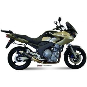 Mivv Yamaha TDM 900 Carbon Exhaust - Sport Model Y.014.L2S Mivv Yamaha TDM 900 Carbon Exhaust - Sport Model Y.014.L2S