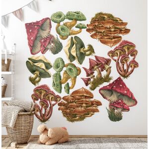 Coloray Stickers Wall Decoration Decal Kids Room Forest Mushrooms In A Cartoon Version Coloray Stickers Wall Decoration Decal Kids Room Forest Mushrooms In A Cartoon Version