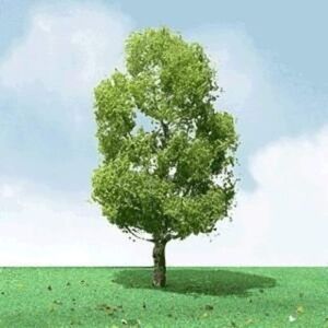 Model Rectifier Corp. Jtt Scenery Pro-Elite Tree, Birch 8" (Us Import) Model Rectifier Corp. Jtt Scenery Pro-Elite Tree, Birch 8" (Us Import)