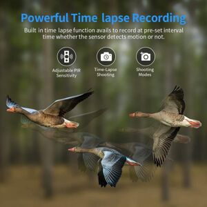 Hunting Camera 4k 50mp 2.0inch Color Screen 120° Wide Angle Night Ip65 Hunting Camera 4k 50mp 2.0inch Color Screen 120° Wide Angle Night Ip65