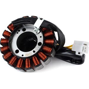 Bjmoto Racing Components Generator Stator Coil For Honda Cb250 Jade250 1991-1994 Cb250 Hornet 1996-2007 Bjmoto Racing Components Generator Stator Coil For Honda Cb250 Jade250 1991-1994 Cb250 Hornet 1996-2007