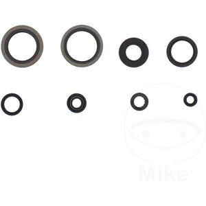 Athena Shaft Seal Set P400510400252 Fits Suzuki Rm 125 1993-1995 Athena Shaft Seal Set P400510400252 Fits Suzuki Rm 125 1993-1995