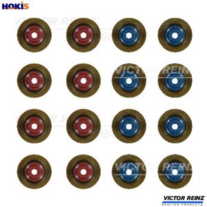 Victor Reinz Seal Set Valve Stem 12-10012-01 For A16xht/16sht B16sht/16shl D16shj 1.6l 4cyl Victor Reinz Seal Set Valve Stem 12-10012-01 For A16xht/16sht B16sht/16shl D16shj 1.6l 4cyl