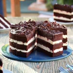 Mademoiselle Desserts Mademoiselle Frozen Cherry & Chocolate Cream Cake 1x14ptn ❄ Mademoiselle Desserts Mademoiselle Frozen Cherry & Chocolate Cream Cake 1x14ptn ❄