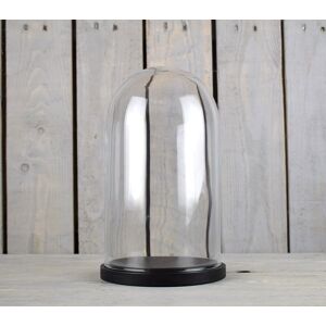 Emh Small Glass Dome Display Cover Cloche Black Base Height 26 X 15 Cm Emh Small Glass Dome Display Cover Cloche Black Base Height 26 X 15 Cm
