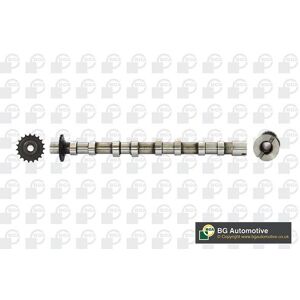 Bga Camshaft For Land Rover Freelander 2.2 Td4 4x4 2006-2014 Atv Cs6704 Replacement Bga Camshaft For Land Rover Freelander 2.2 Td4 4x4 2006-2014 Atv Cs6704 Replacement