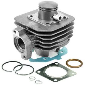 Tecnium Peugeot 50 Ludix / Vivacity 3 / Speedfight - High Engine Kit 0303011 Tecnium Peugeot 50 Ludix / Vivacity 3 / Speedfight - High Engine Kit 0303011