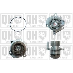 Quinton Hazell Qh Qcp3482 Engine Cooling Water Pump Fits Seat Ibiza Skoda Fabia Vw Polo Quinton Hazell Qh Qcp3482 Engine Cooling Water Pump Fits Seat Ibiza Skoda Fabia Vw Polo
