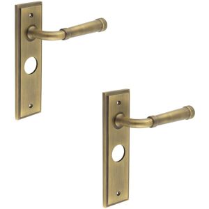2 Pack Elegant Antique Brass Door Handle With Backplate For Bathroom - Solid 2 Pack Elegant Antique Brass Door Handle With Backplate For Bathroom - Solid