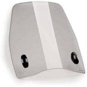 Puig Light Smoke Urban Screen Askoll Es2 Evolution 2.8 2022-2025 Puig Light Smoke Urban Screen Askoll Es2 Evolution 2.8 2022-2025