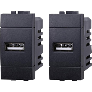 Does Not Apply 2 X Usb Power Outlet Module 5v 2.1a Color Black Compatible With Bticino Living L Does Not Apply 2 X Usb Power Outlet Module 5v 2.1a Color Black Compatible With Bticino Living L