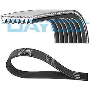 Dayco 7pk1975 V-Ribbed Belt For Alfa Romeo,Daf,Lancia,Opel,Scania,Vauxhall Dayco 7pk1975 V-Ribbed Belt For Alfa Romeo,Daf,Lancia,Opel,Scania,Vauxhall