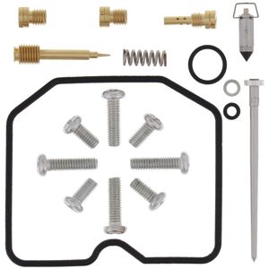 All Balls Arctic Cat 300 Dvx 2009-2015 Carb Repair Kit All Balls Arctic Cat 300 Dvx 2009-2015 Carb Repair Kit