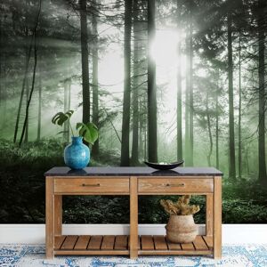 Genius Green Forest Wallpaper Wall Mural For Every Room Sunlight Full Wall Size Genius Green Forest Wallpaper Wall Mural For Every Room Sunlight Full Wall Size