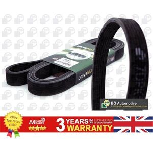 Bga V Ribbed Belt For Porsche Cayenne 02-07 99919238050 7dpk2950 Oe Quality Bga V Ribbed Belt For Porsche Cayenne 02-07 99919238050 7dpk2950 Oe Quality
