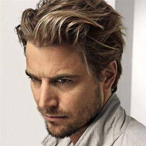 salaibs Salaibs Mens Light Brown Short Wig With Blonde Straight Layered Natural Male Ha salaibs Salaibs Mens Light Brown Short Wig With Blonde Straight Layered Natural Male Ha