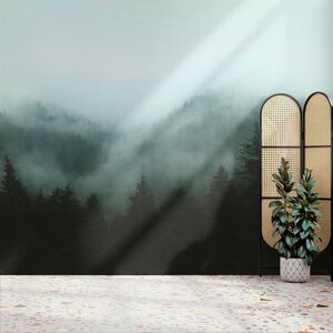 Superfresco Easy Misty Landscape Teal Print To Order Fixed Size Mural Superfresco Easy Misty Landscape Teal Print To Order Fixed Size Mural