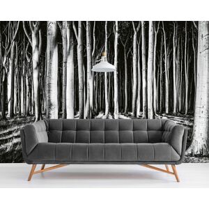 Genius Black Forest Wall Mural Ghost Photomural Trees Non-Woven Unisex Wallpaper Genius Black Forest Wall Mural Ghost Photomural Trees Non-Woven Unisex Wallpaper