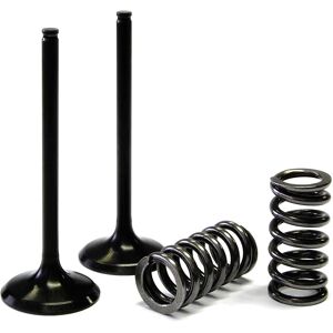 Prox Steel Valve Kit And Admission Spring Honda 28.Sis1336-2 Prox Steel Valve Kit And Admission Spring Honda 28.Sis1336-2