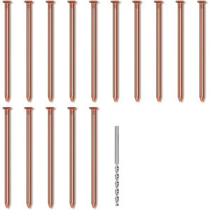 Sodial 4x(15pcs Copper Nails For Killing Trees Stump Root, 3.14 Inch Long Pure7422 Sodial 4x(15pcs Copper Nails For Killing Trees Stump Root, 3.14 Inch Long Pure7422