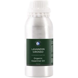 Mystic Moments Lavandin Grosso Organic Essential Oil - 1kg Mystic Moments Lavandin Grosso Organic Essential Oil - 1kg