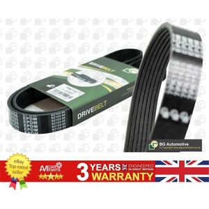 Bga V Ribbed Belt For Alfa Romeo 164 Nissan Interstar Primastar 60542280 Bga V Ribbed Belt For Alfa Romeo 164 Nissan Interstar Primastar 60542280