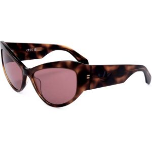 adidas Original Or0089 52s Dark Havana 57/17/135 Woman Sunglasses adidas Original Or0089 52s Dark Havana 57/17/135 Woman Sunglasses