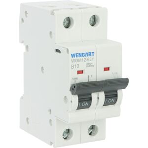 Mcb Circuit Breaker Wgm12-63h, Ac230v 10a 2p 10ka B-Char, Suitable For Household Mcb Circuit Breaker Wgm12-63h, Ac230v 10a 2p 10ka B-Char, Suitable For Household