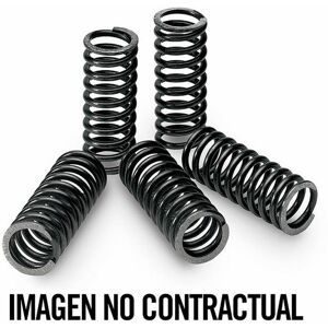 Tecnium Kit, Clutch Spring Compatible With Compatible With Suzuki Rm 250 1987-19 Tecnium Kit, Clutch Spring Compatible With Compatible With Suzuki Rm 250 1987-19