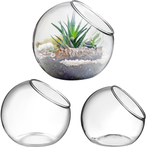 Does Not Apply 3 Pcs Glass Terrarium Plant Holder, Slant Cut Planter Pot Clear Glass Vase Succu Does Not Apply 3 Pcs Glass Terrarium Plant Holder, Slant Cut Planter Pot Clear Glass Vase Succu
