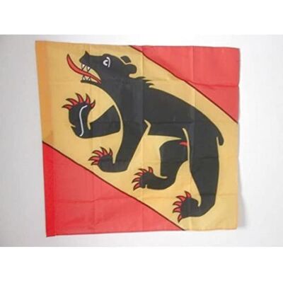 Bern Flag - 90x90cm Polyester with Sleeve - Flag Bern Flag - 90x90cm Polyester with Sleeve - Flag