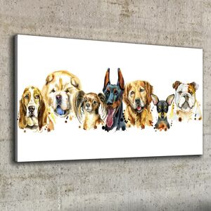 Coloray Canvas Print 100x50 Painting Animals Dogs Picture Wall Art Framed Decor Coloray Canvas Print 100x50 Painting Animals Dogs Picture Wall Art Framed Decor
