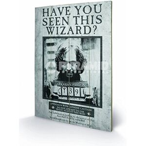 Pyramid International Harry Potter Sirius Wanted Wood Print, Multi-Colour, 40 X Pyramid International Harry Potter Sirius Wanted Wood Print, Multi-Colour, 40 X