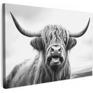 Does Not Apply © Canvas Wall Art 47\"X31\" / 120x80 Cm Home Decor Paintings For Living Room Decor Does Not Apply © Canvas Wall Art 47\"X31\" / 120x80 Cm Home Decor Paintings For Living Room Decor